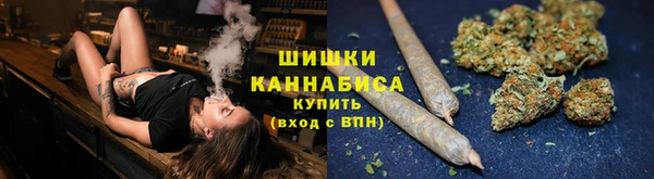 крисы Майский