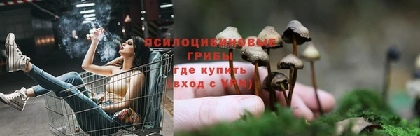 крисы Майский