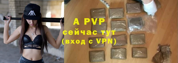 дмт Магас