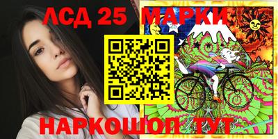 таблы Новозыбков