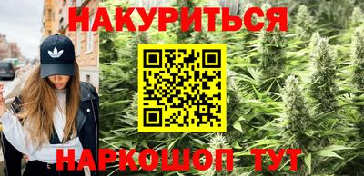 таблы Новозыбков
