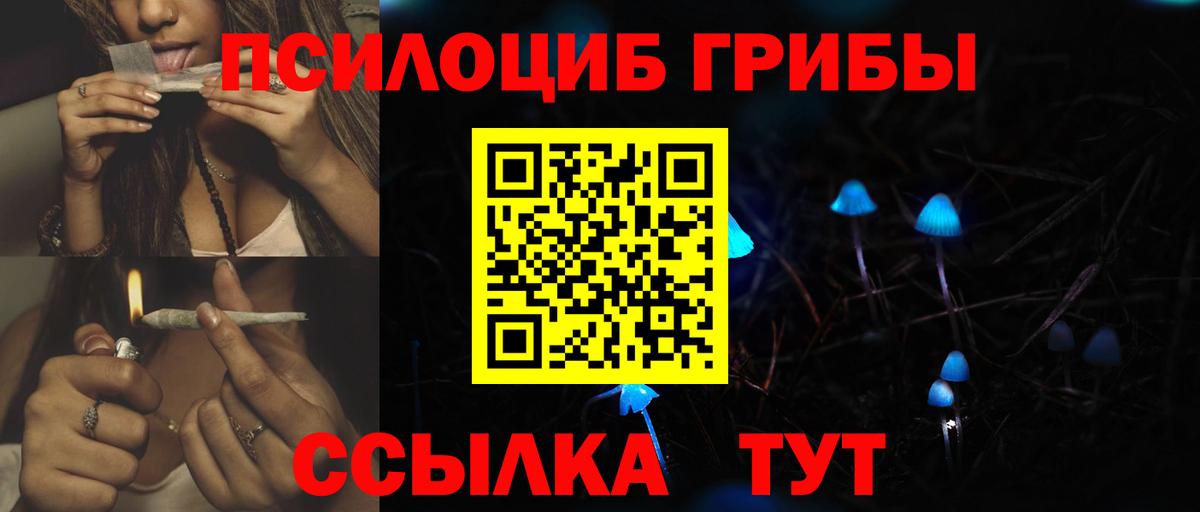 Нягань  Галлюциногенные грибы Psilocybe  Вход с VPN 